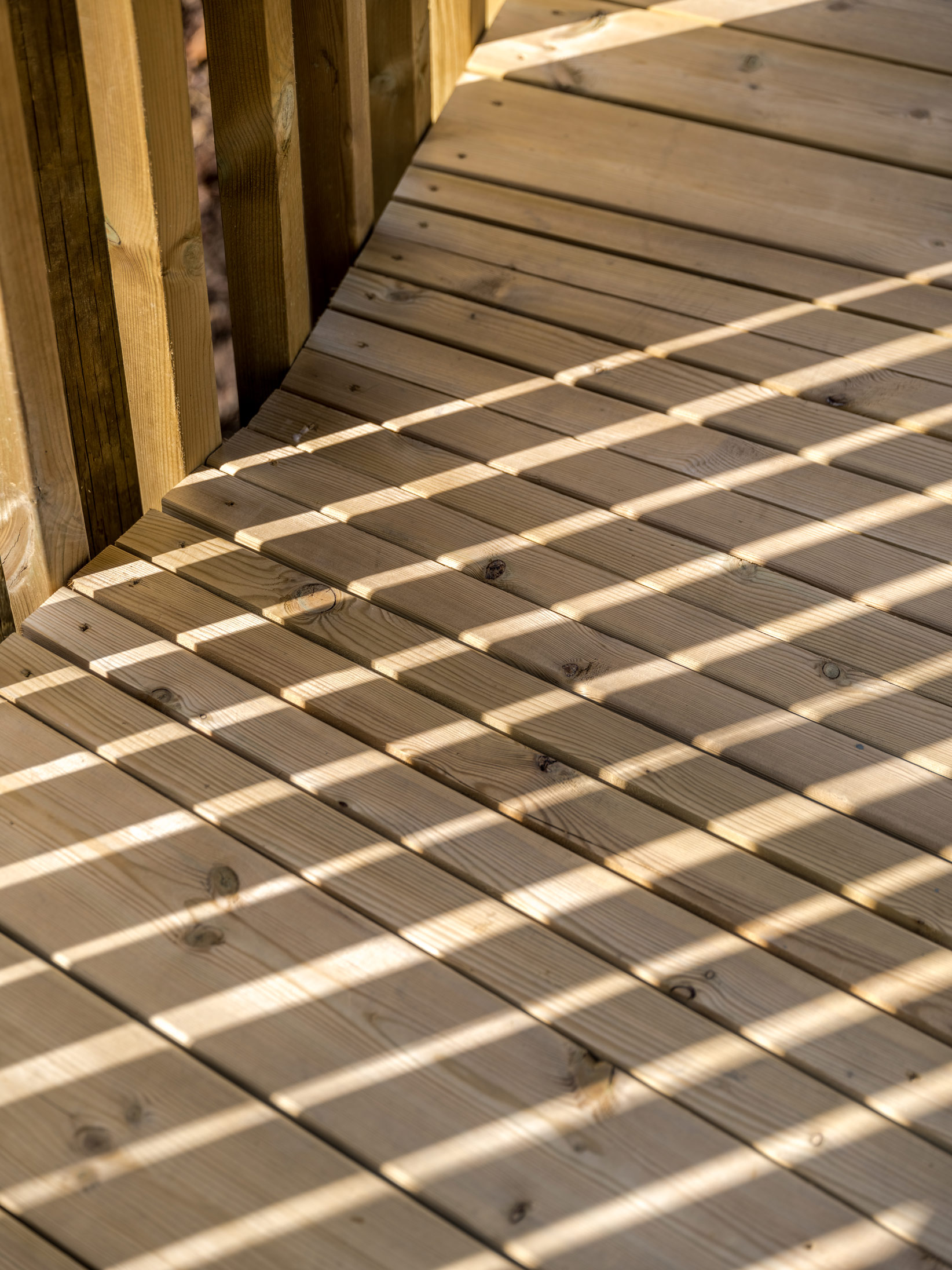 EFFEKT's treetop walkway across the Fyrsedal pine forest in southern Norway. Image: Rasmus Hjortshøj